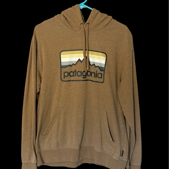 Patagonia Tops - Patagonia Brown Hoodie with Mountain Logo